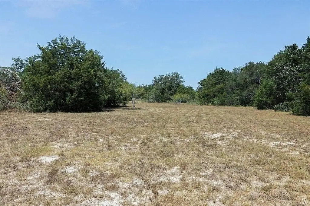 Picture 12