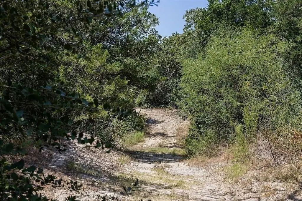Picture 14