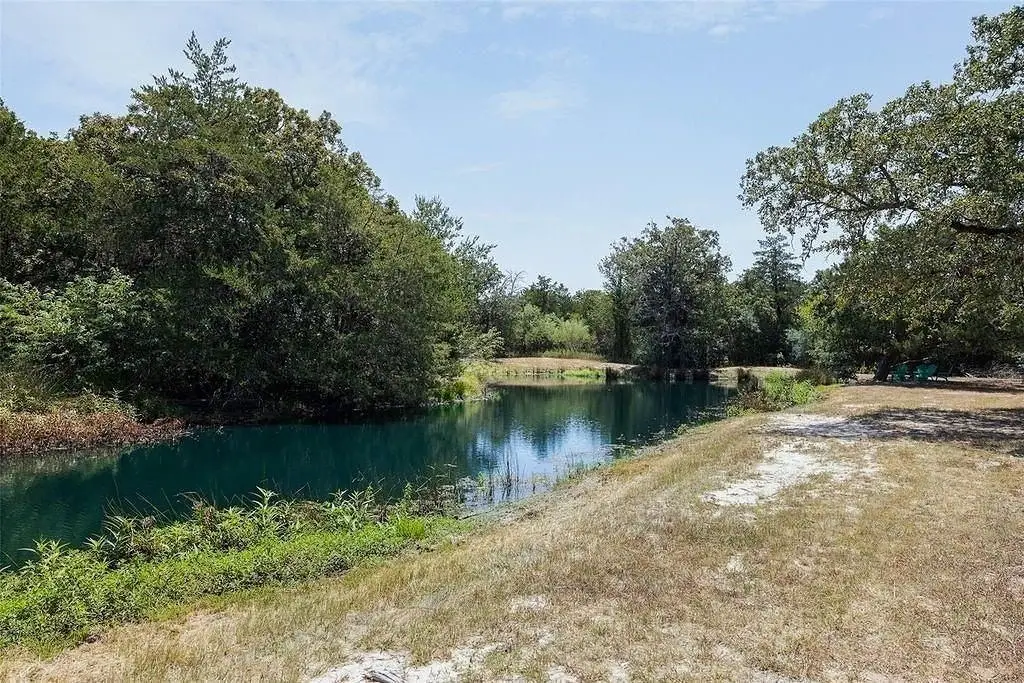 Picture 10