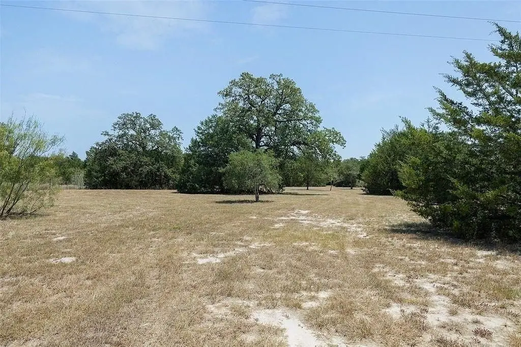 Picture 5
