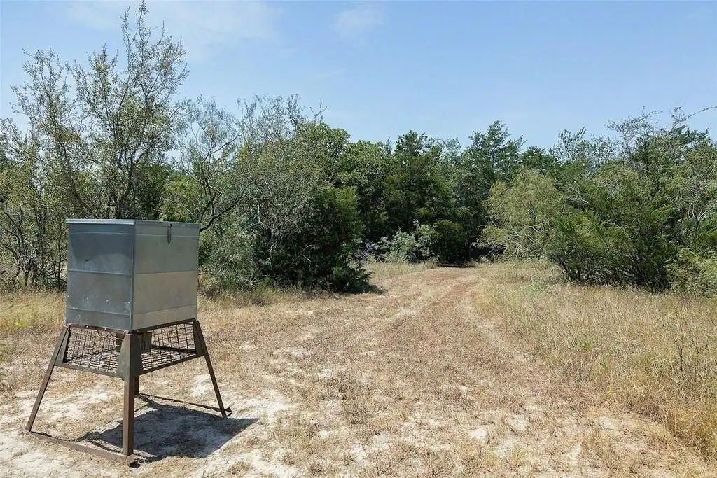 Picture 17