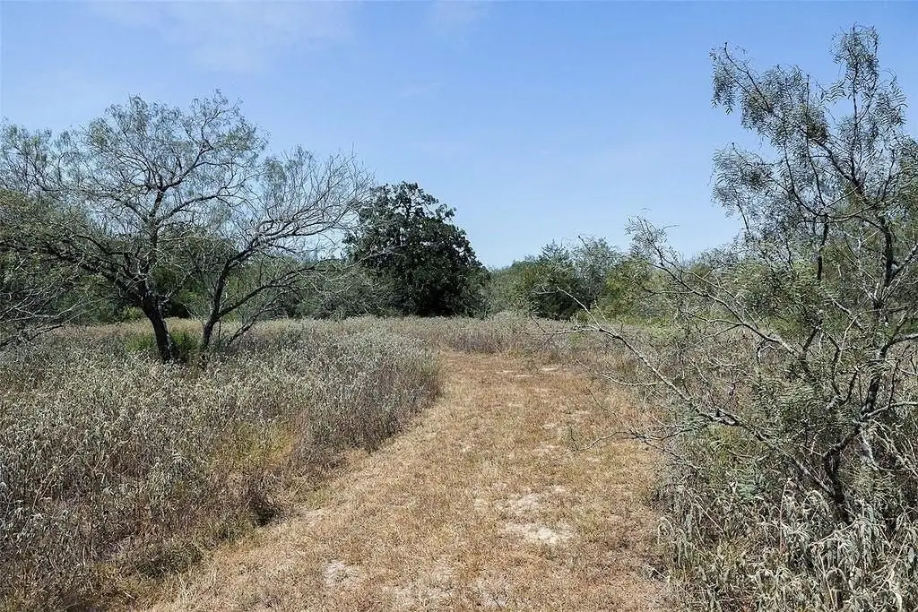 Picture 16