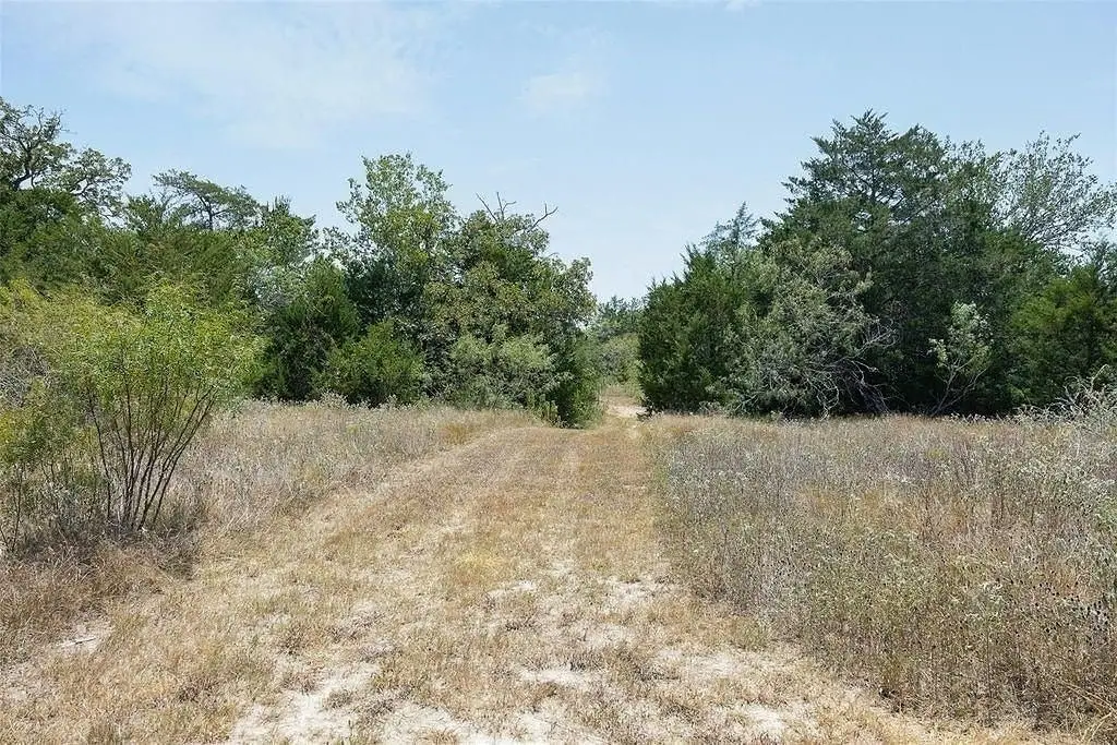 Picture 15