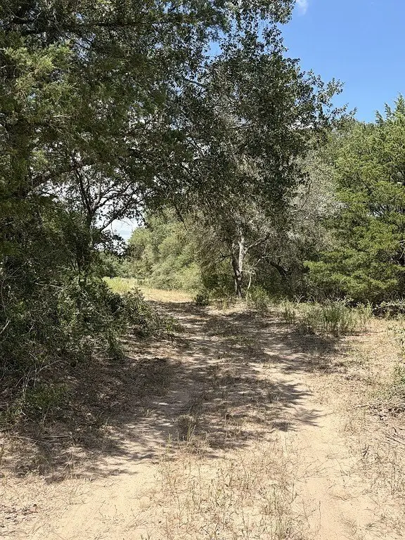 Picture 16