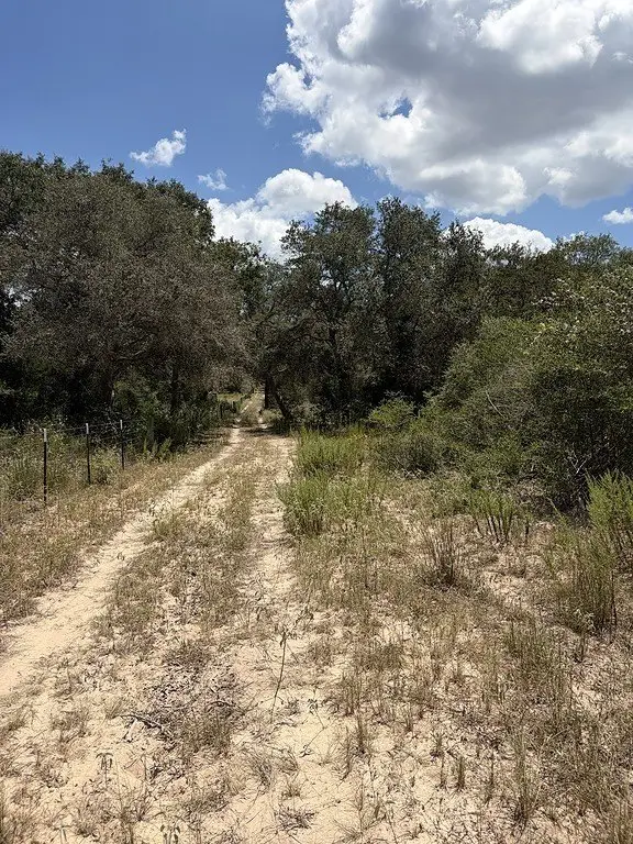 Picture 25