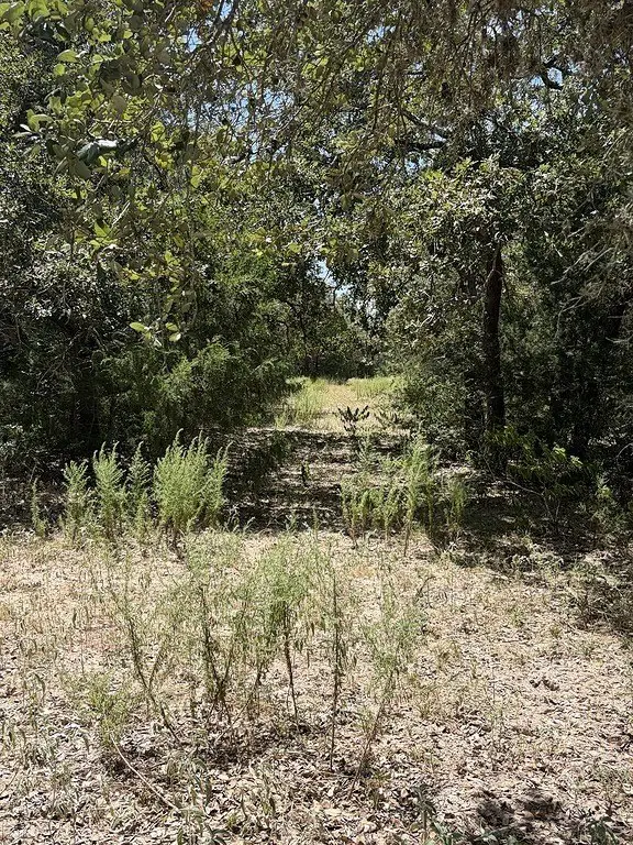 Picture 24
