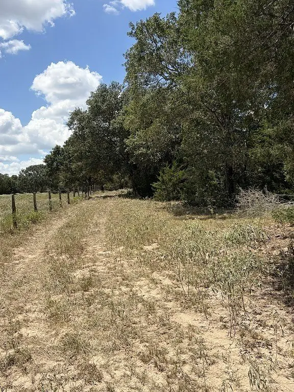 Picture 23