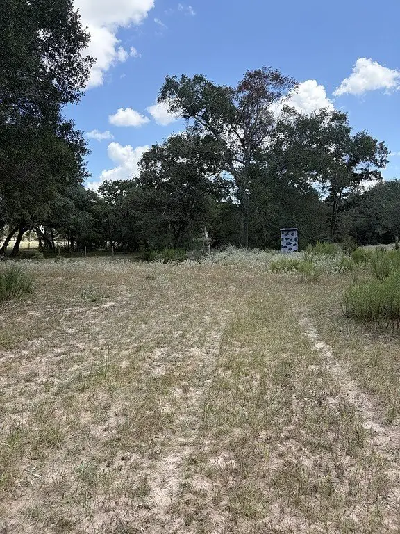 Picture 17