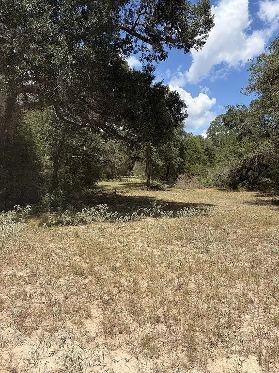 Picture 20