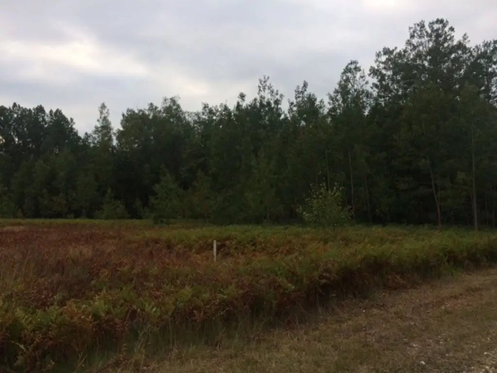 Picture 11