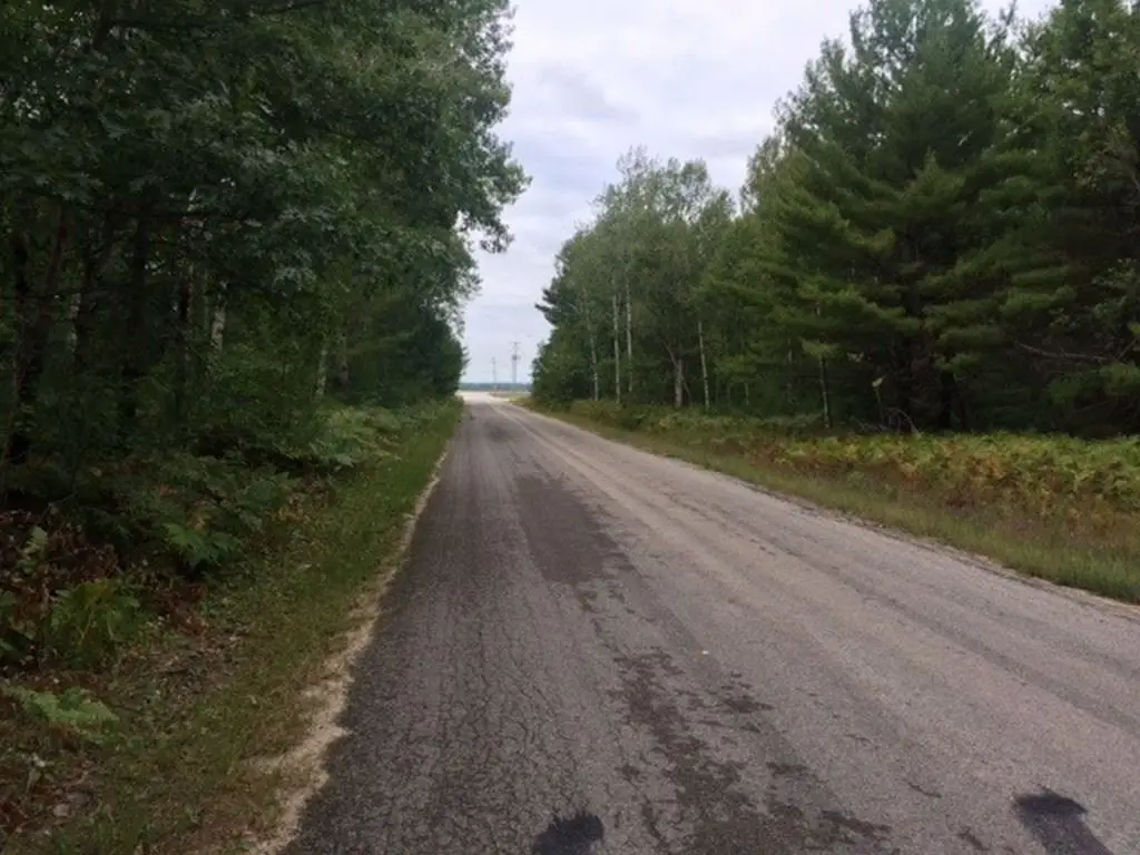 Picture 8