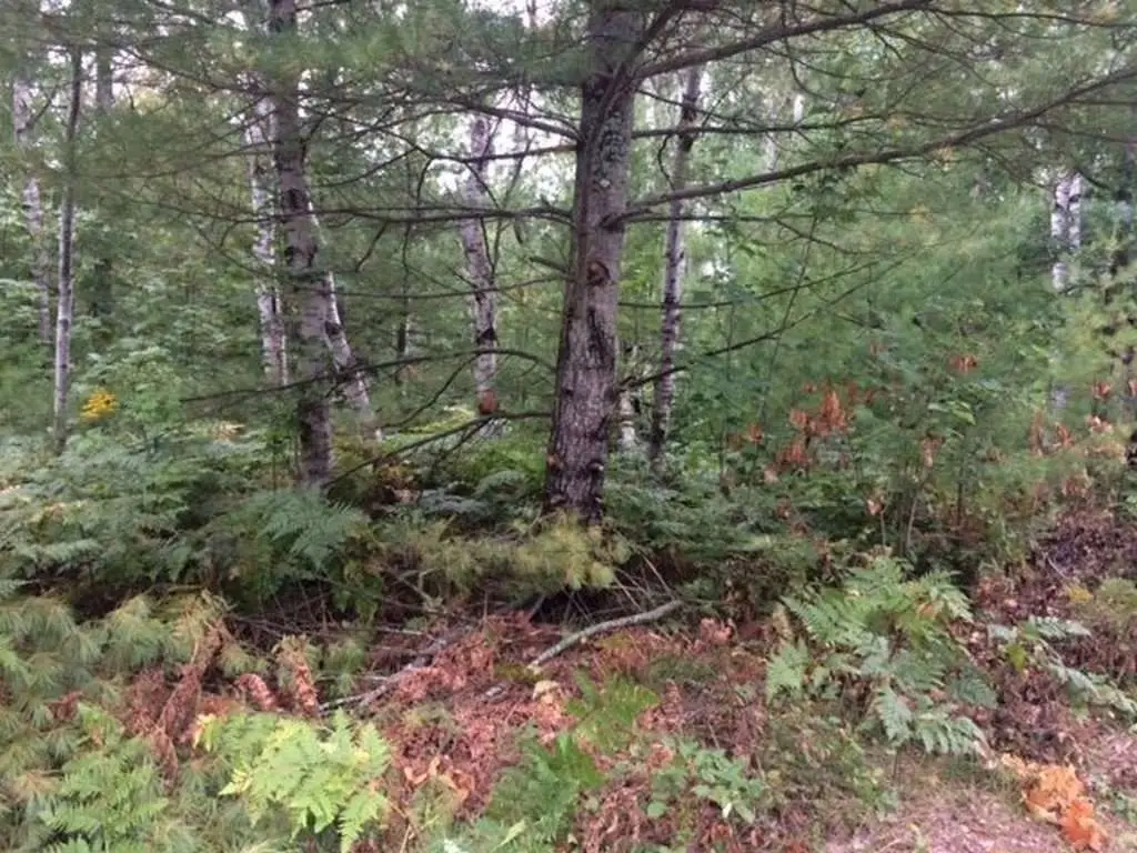 Picture 5