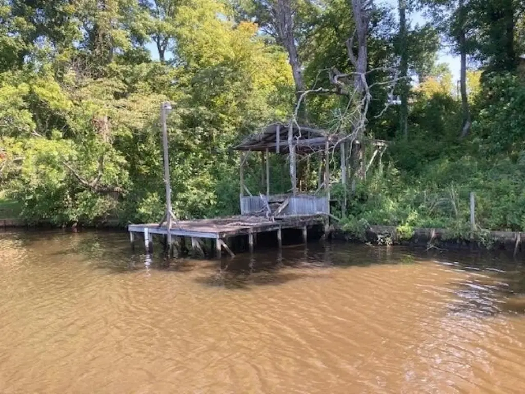 Picture 5
