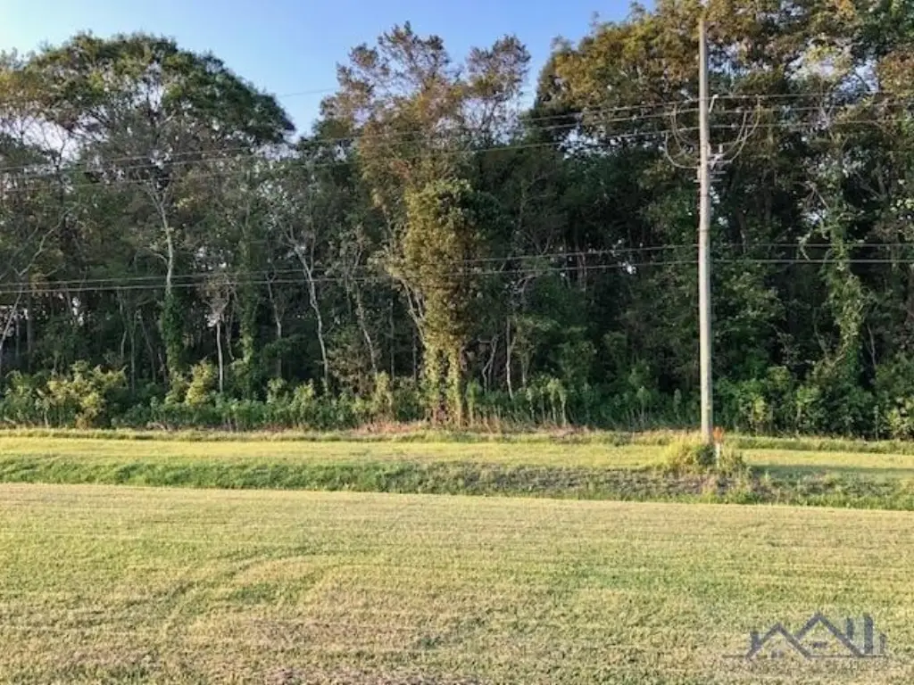 Picture 2