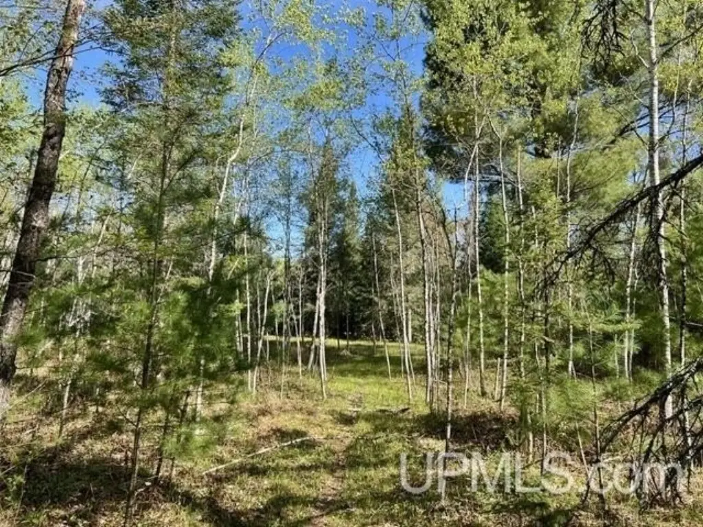 Picture 8
