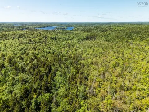 Recreation Land with Young Forest