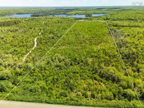 Wooded Land Parcel