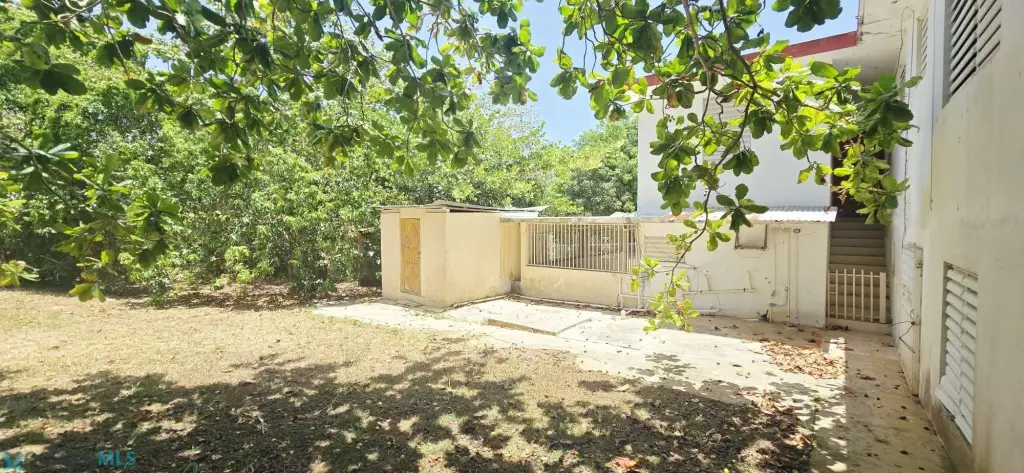 Picture 45