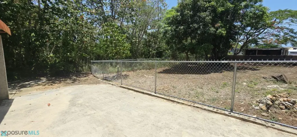 Picture 31