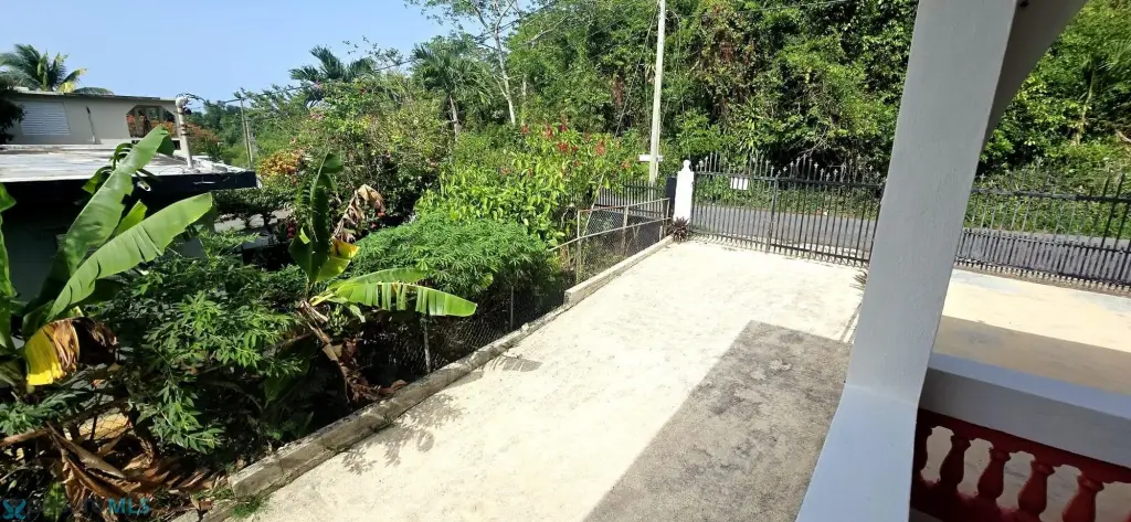 Picture 13