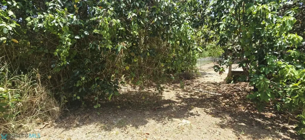 Picture 41