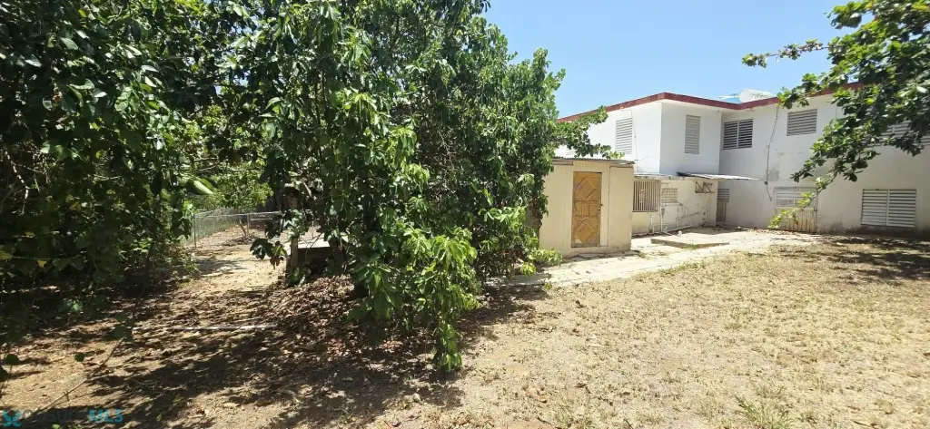 Picture 40