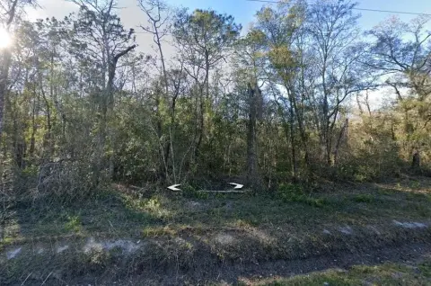 Affordable Rural Land in Hastings, FL