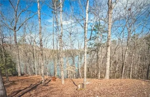 Lake Lanier Waterfront Lot