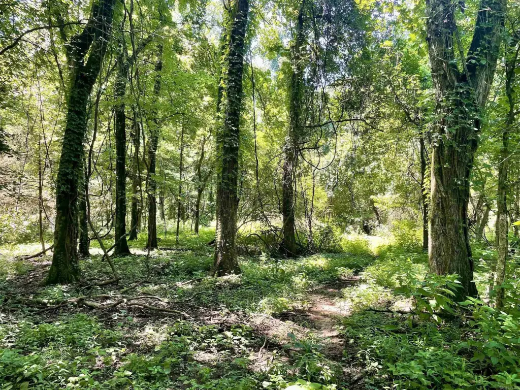 Picture 26