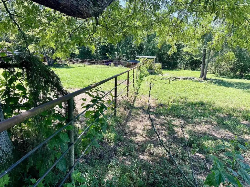 Picture 11