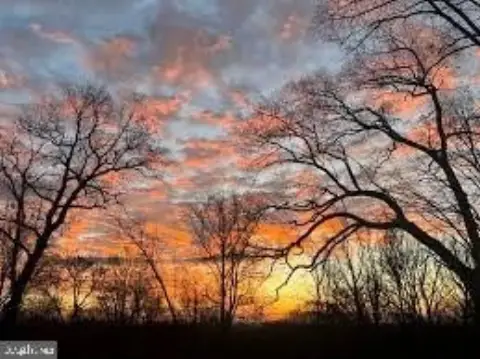 Haymarket Land: Build Your Dream