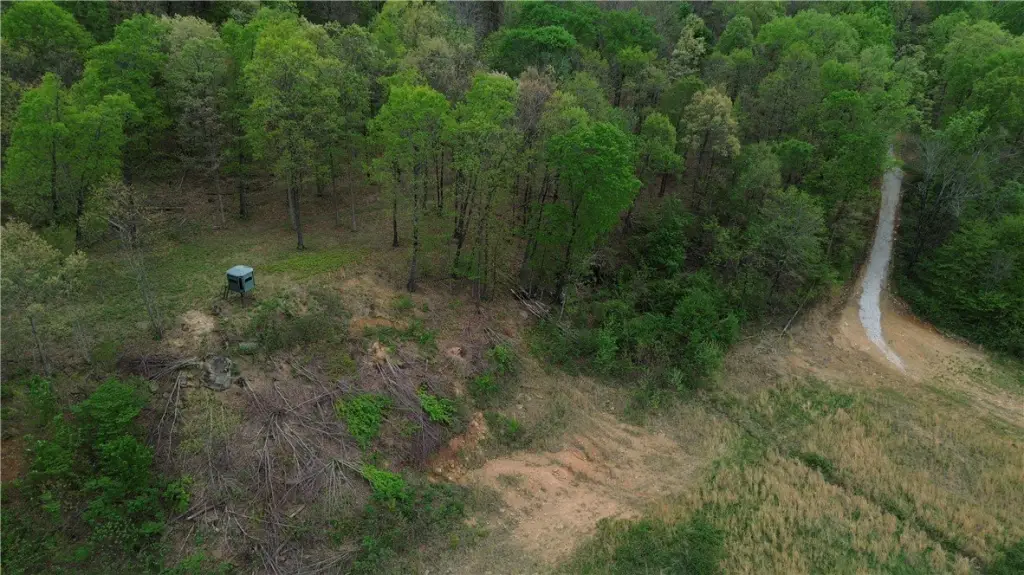 Picture 12