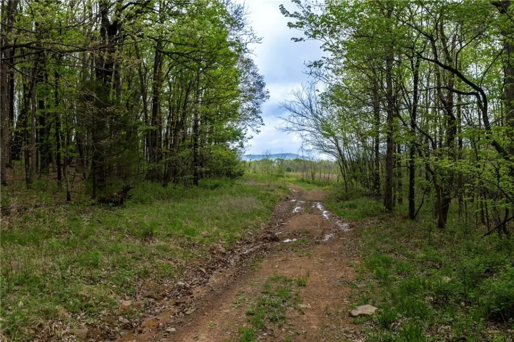 Picture 23
