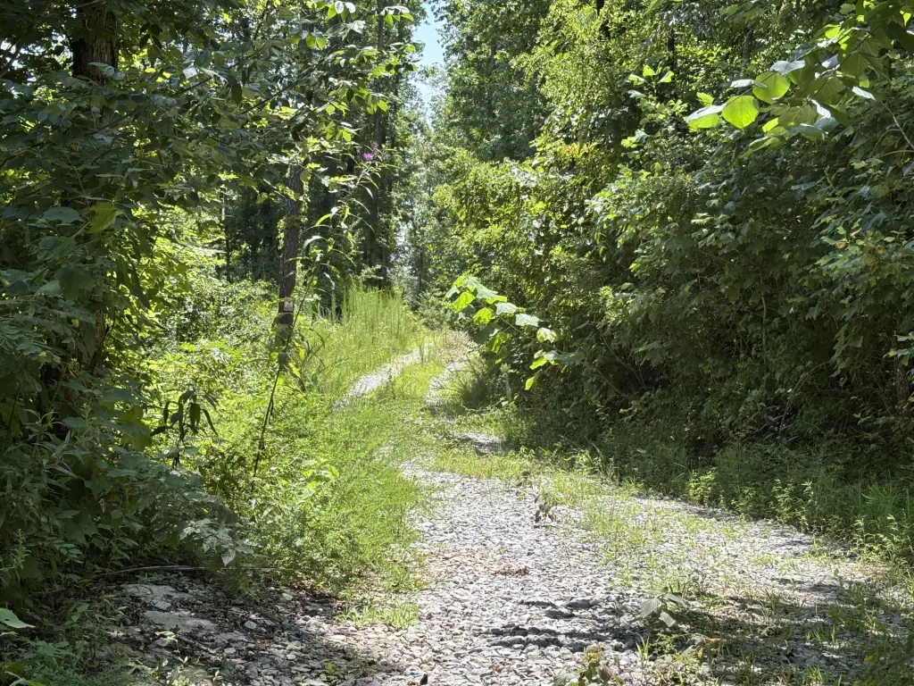 Picture 4