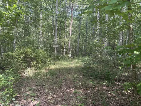 Wooded Hunting Land Acreage
