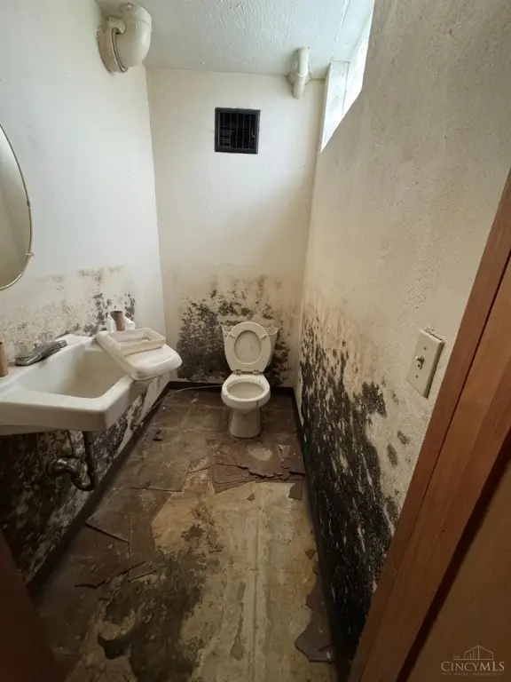 Picture 36