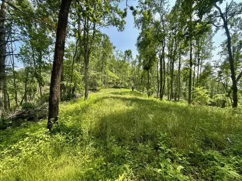 Historic Appalachian Wilderness Land Parcel