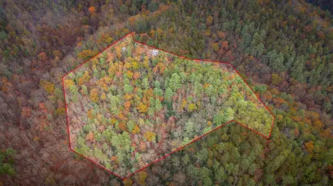 Tennessee Mountain Sanctuary with Cabin