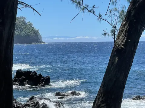 Oceanfront Land Parcel in Laupahoehoe