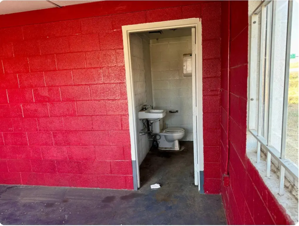 Picture 5