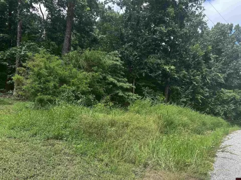 Wooded Lots in River Ranch