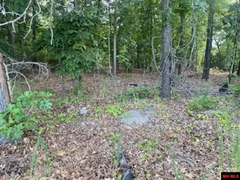Residential Lots Near Bull Shoals