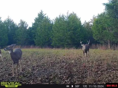 Prime Hunting Land Opportunity