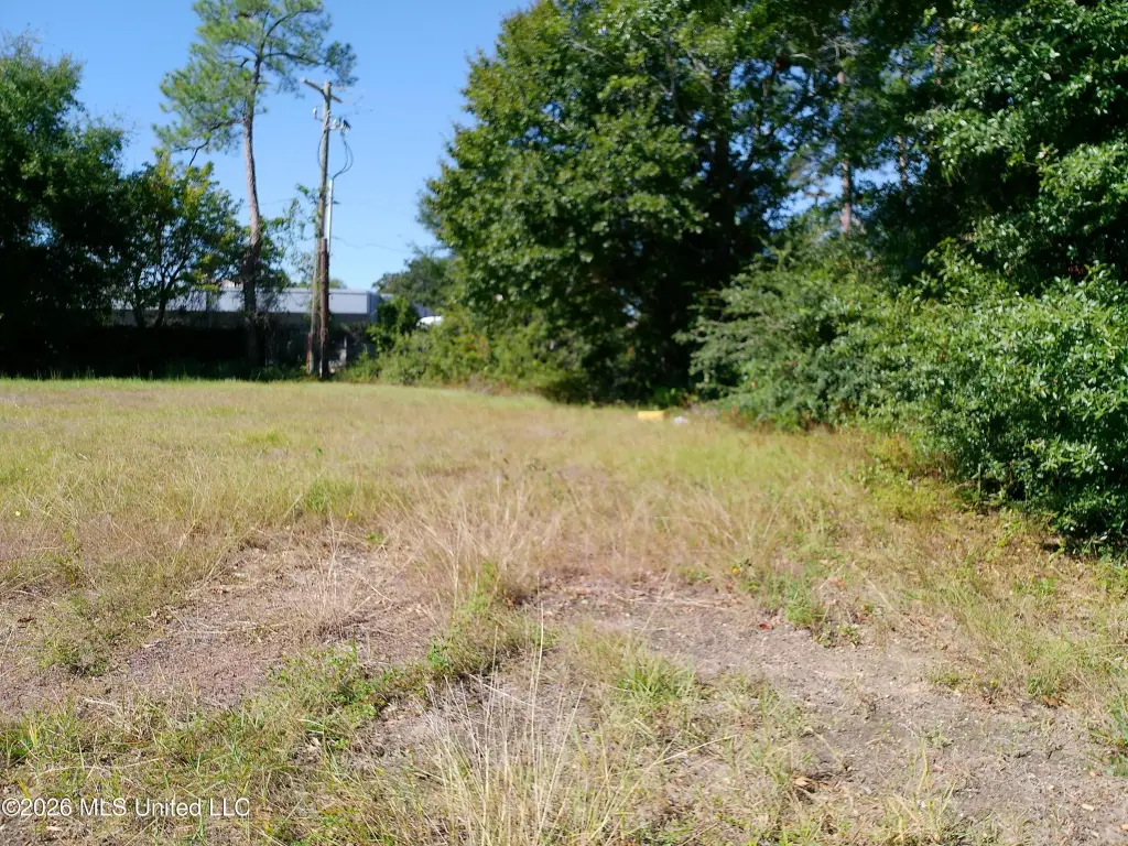 Picture 2
