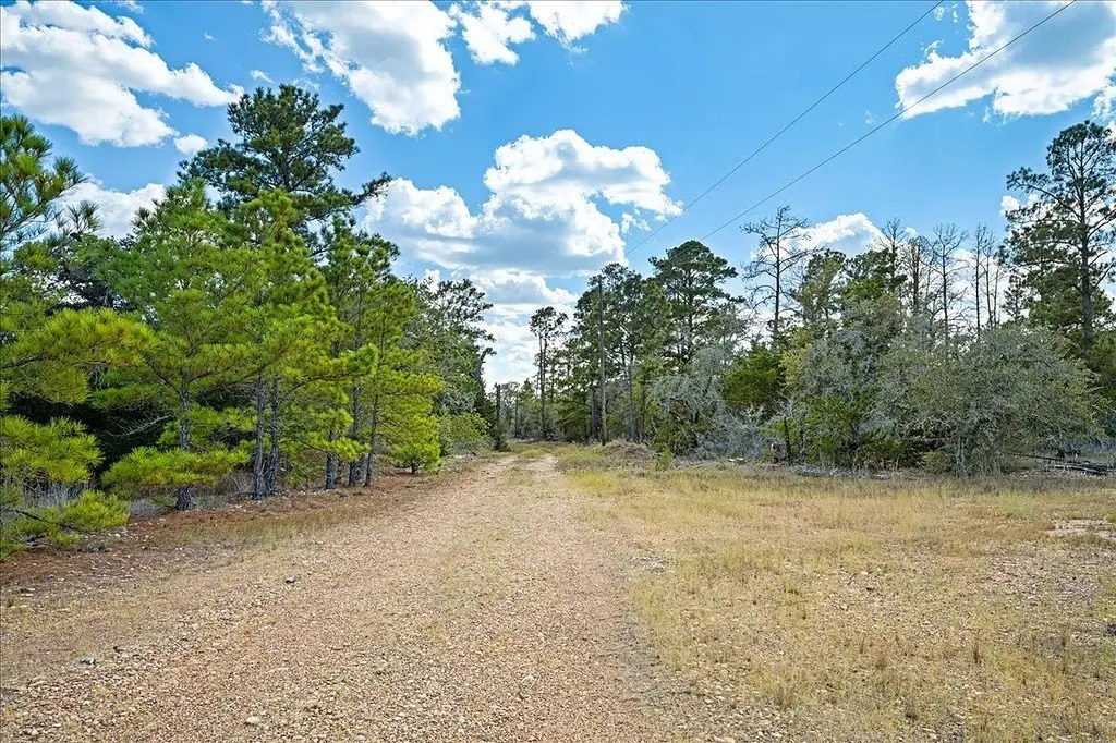 Picture 3