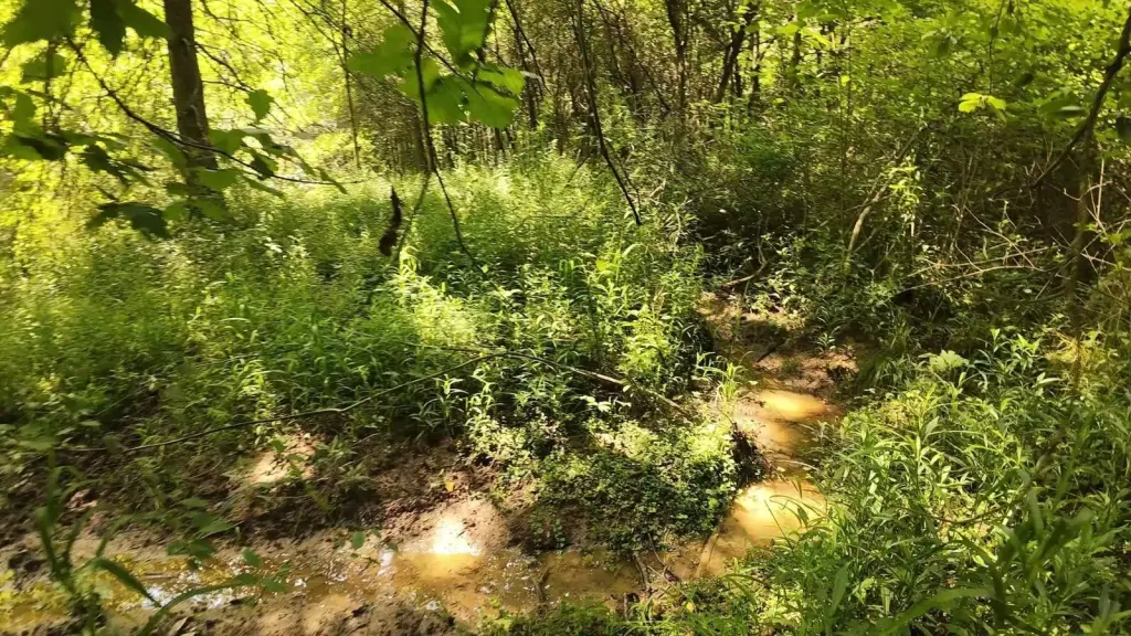 Picture 23