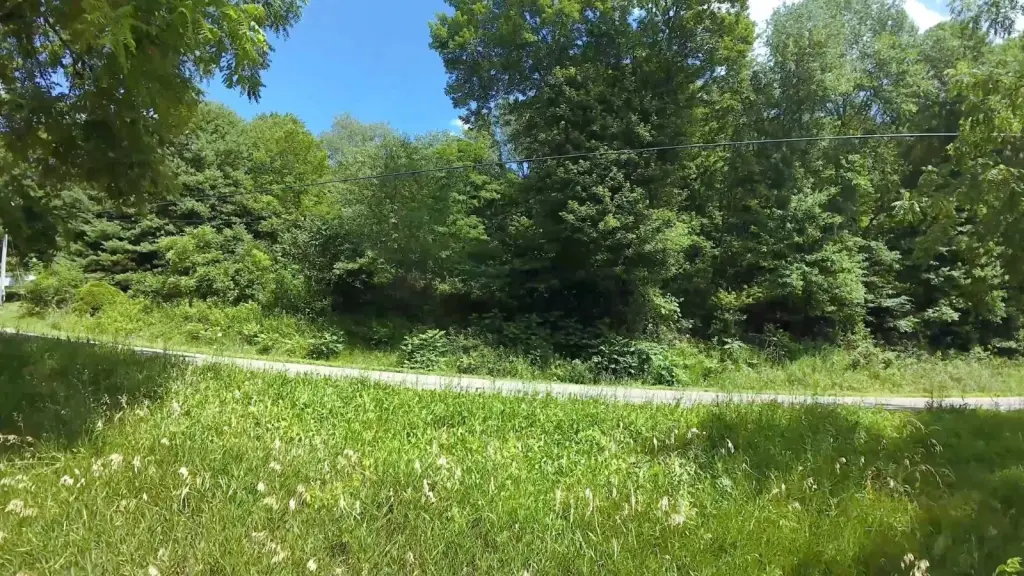 Picture 41