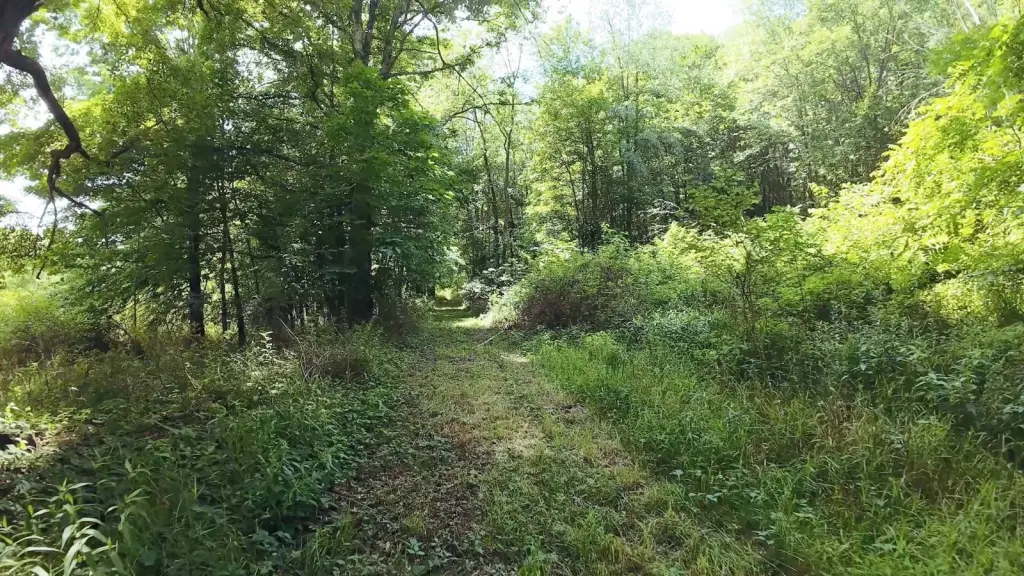 Picture 42
