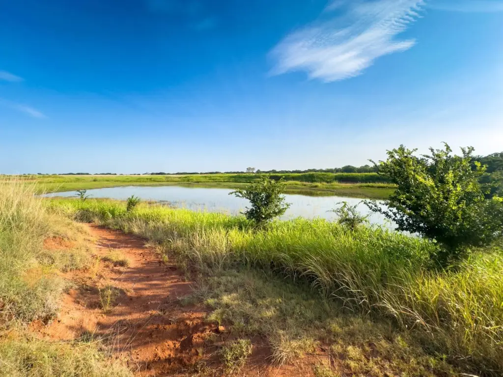 Picture 63