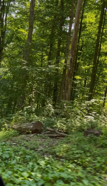 Picture 9